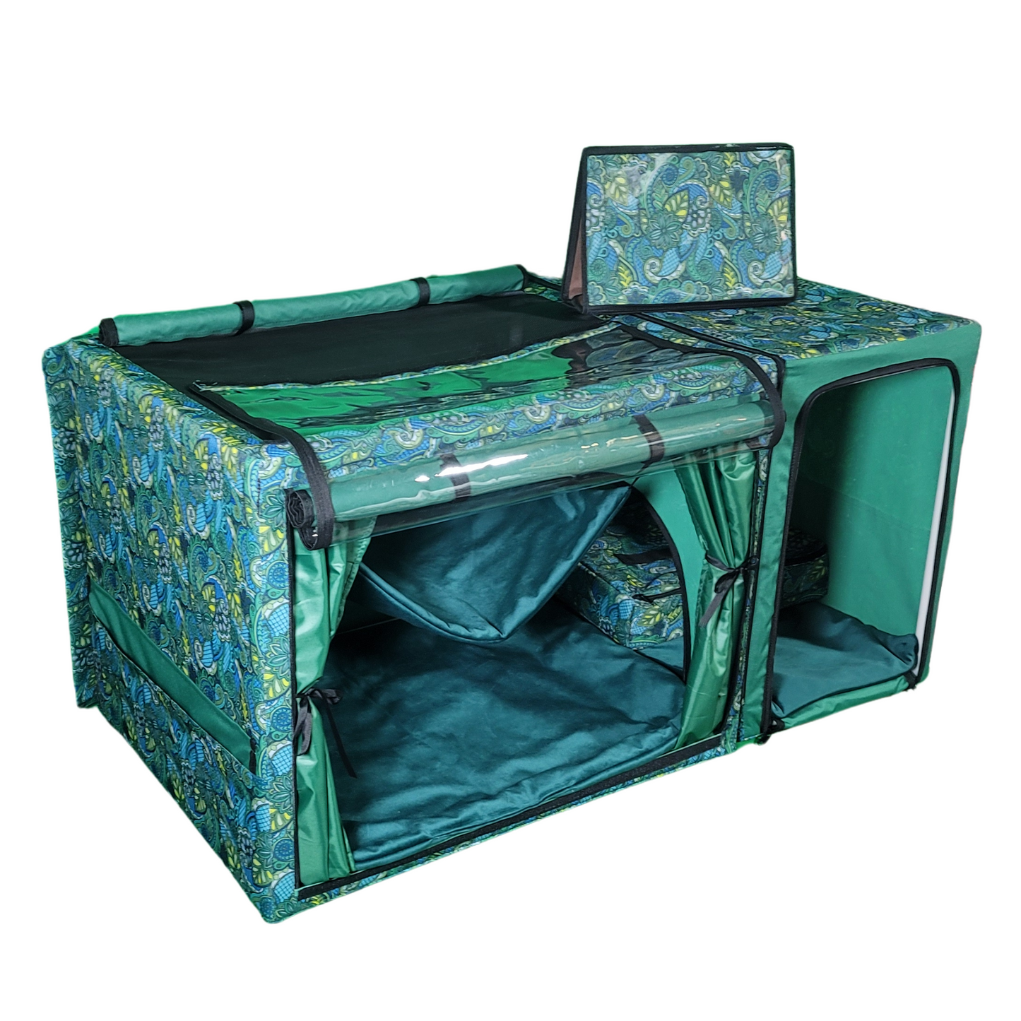 Show Cage (Green Paisley)