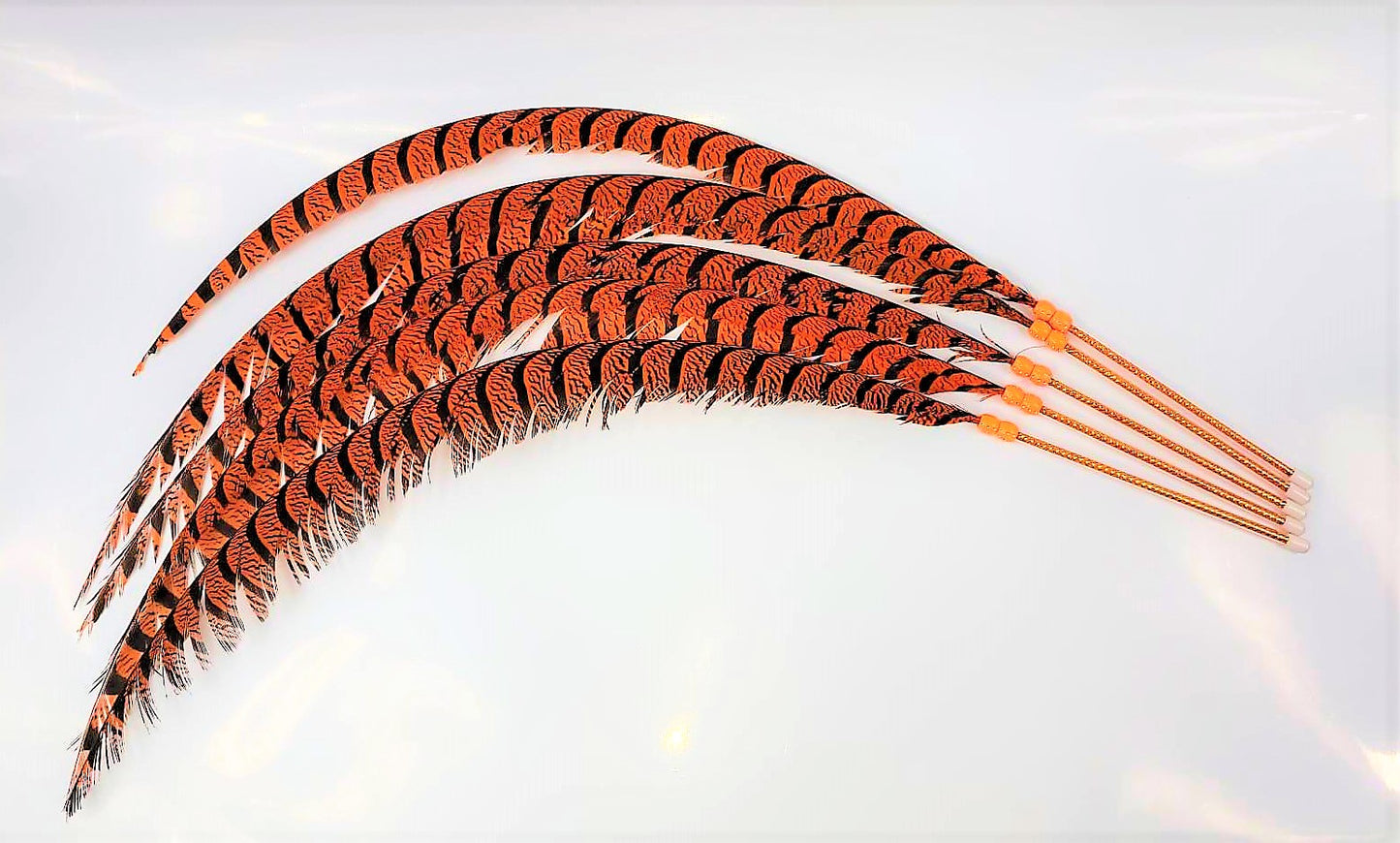 Diamond Pheasant Large